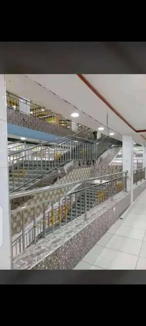 Stainless Hand Rails