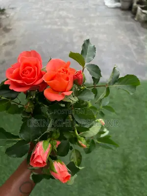 We Are Always Here for You