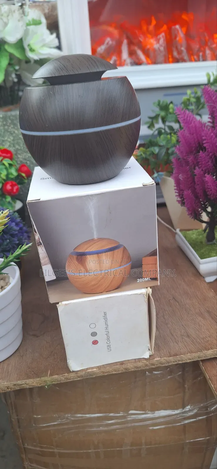 Small Mushroom Humidifier