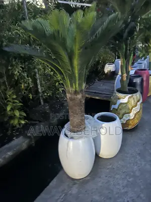 Artificial Cycad Palms