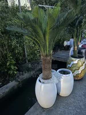 Artificial Cycad Palms