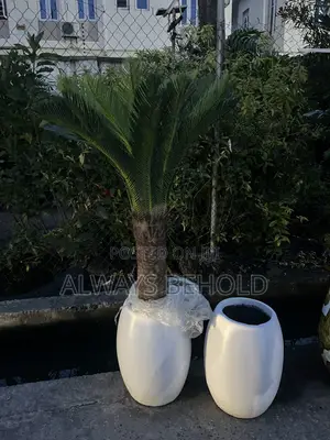Artificial Cycad Palms