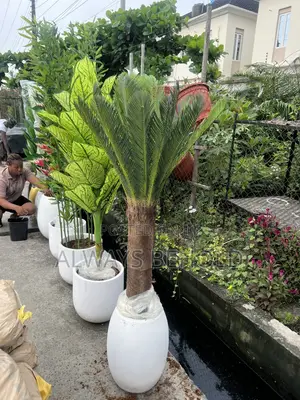 Artificial Cycad Palms