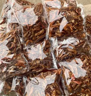 Fresh Dry Fish and Crayfish Available