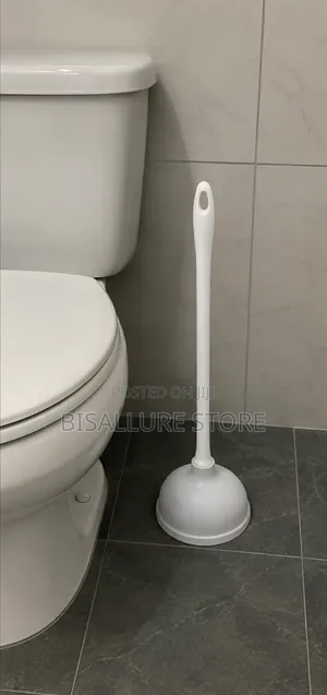 Drain Buster and Plunger