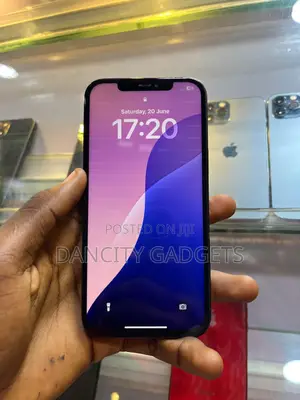 Apple iPhone 12 Pro Max 256 GB Blue