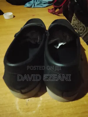 Timberland Shoe