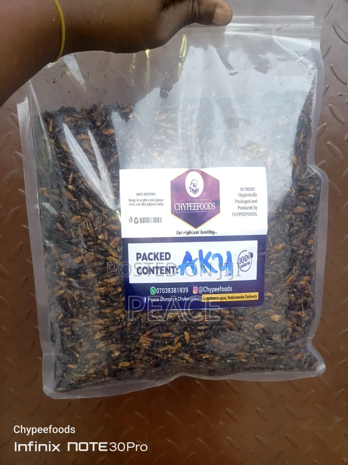 Edible Termite