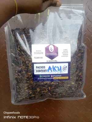 Edible Termite