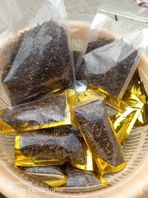 Edible Termite