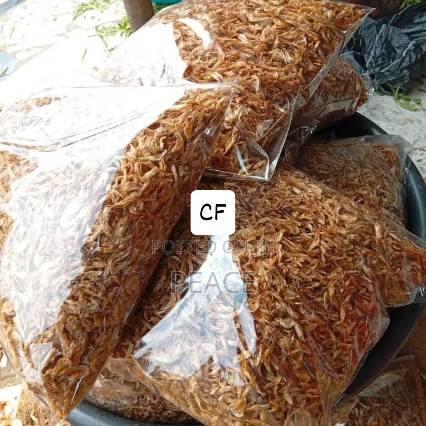 Oron Crayfish
