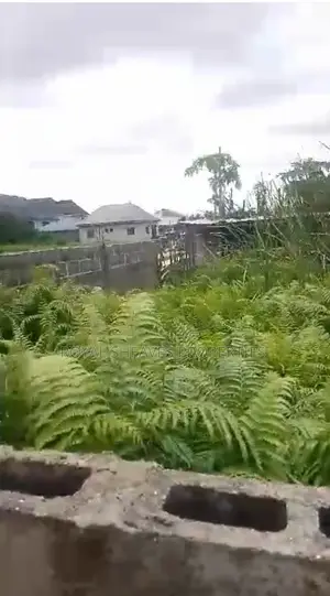 Full Plot of Land at Ojo