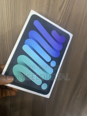 New Apple iPad mini (2024) 256 GB Gray