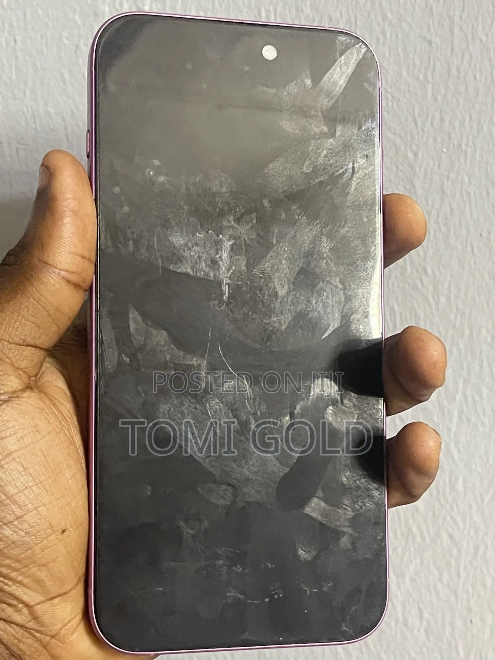 Apple iPhone 16 Plus 256 GB Pink