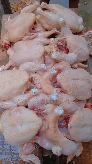 Organic Chicken