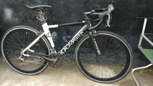 Roadmaster Bicycle by Alton