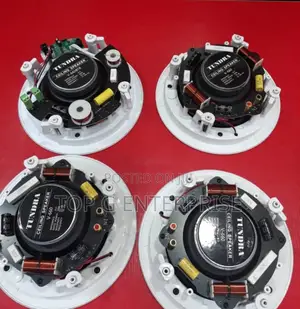 60w 4 in 1 Tundra Bt Ceiling Speaker