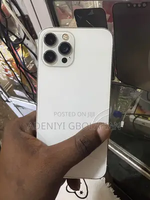 Apple iPhone 12 Pro Max 256 GB Silver