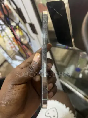 Apple iPhone 12 Pro Max 256 GB Silver