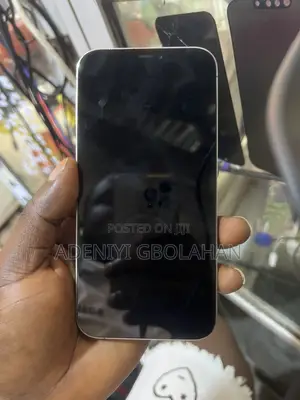 Apple iPhone 12 Pro Max 256 GB Silver