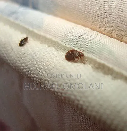 General Pest Control