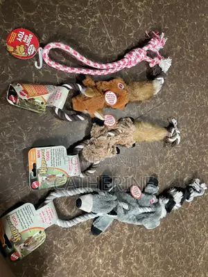 Dog Toys and Teething Toys
