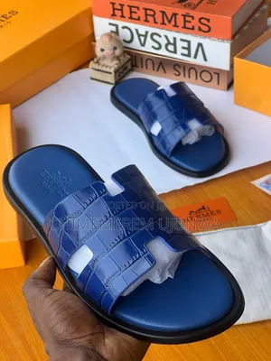 Beautiful Luxury Hermes