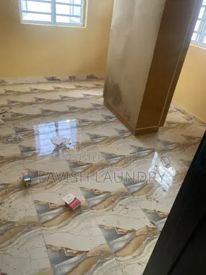 Professional Pest Extermination Service