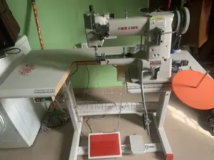 Two Lion Cylinder Bed Electric Machine