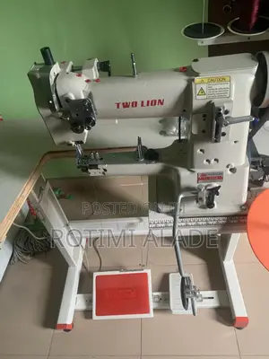 Two Lion Cylinder Bed Electric Machine