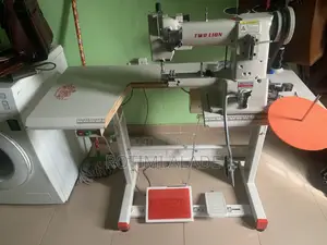 Two Lion Cylinder Bed Electric Machine
