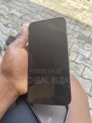 Apple iPhone 12 Pro Max 128 GB Gray