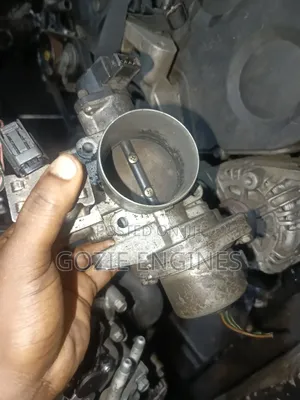 Kia Sedona Throttle Mouth Electric