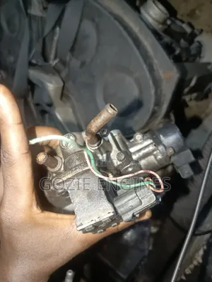 Kia Sedona Throttle Mouth Electric