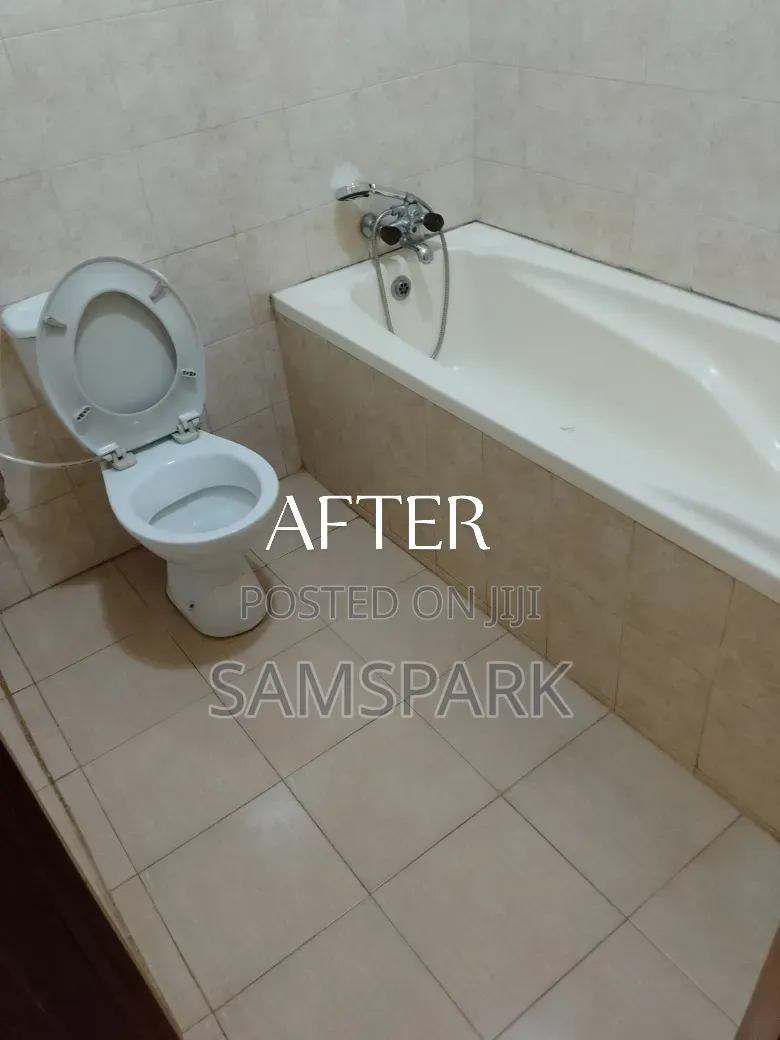 Cleaning and Fumigation Service