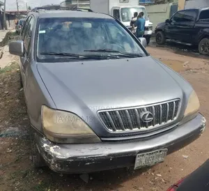 Lexus RX 300 4WD 2002 Gray