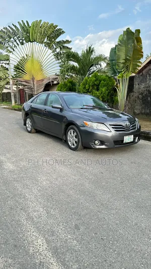 Toyota Camry 2010 Gray
