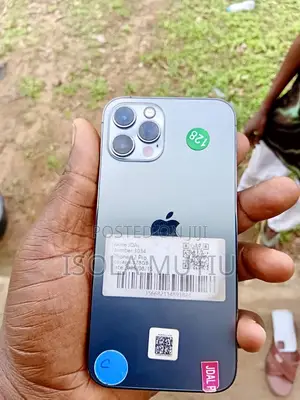 Apple iPhone 12 Pro 128 GB Gray