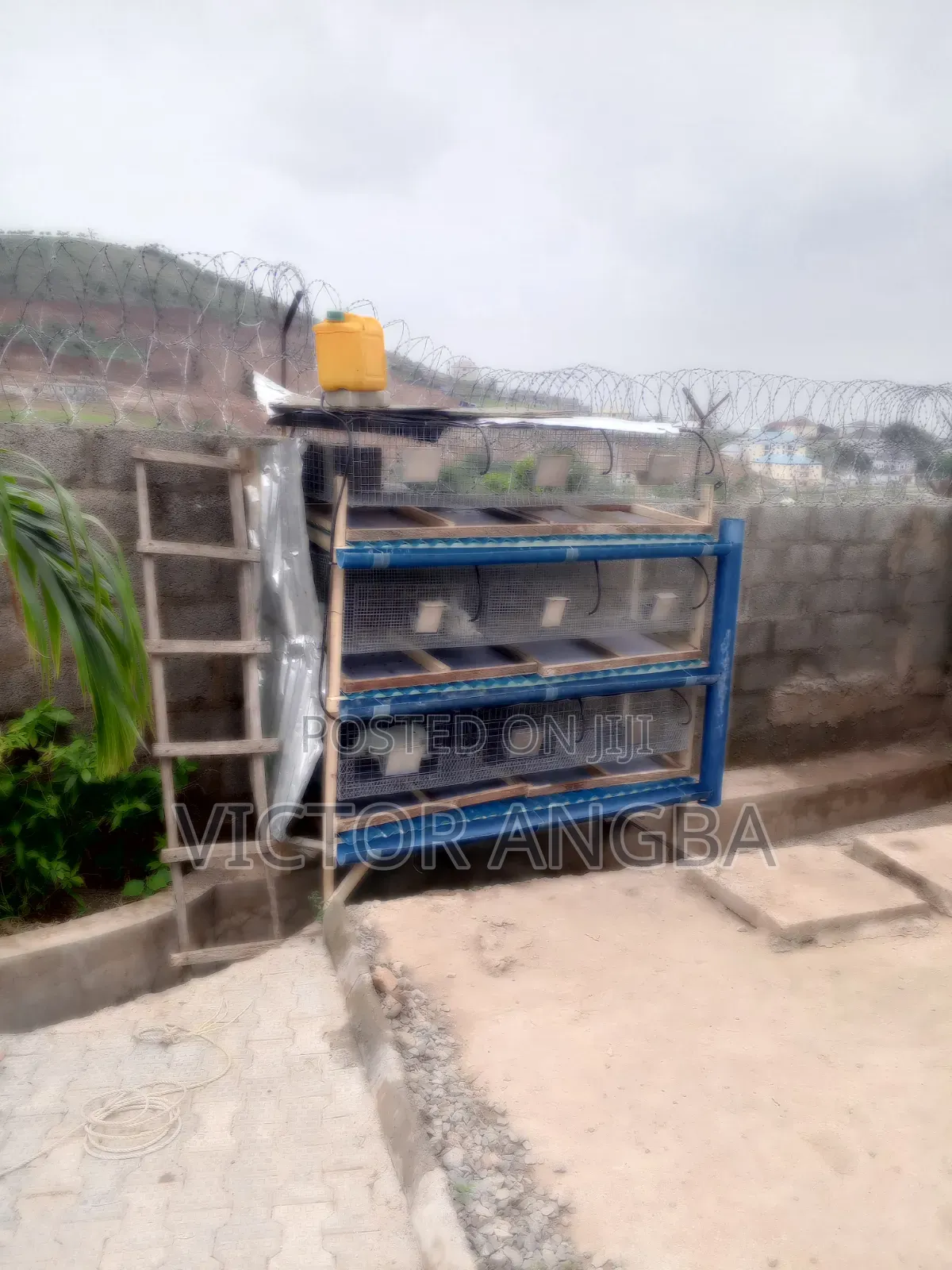Rabbit Cage