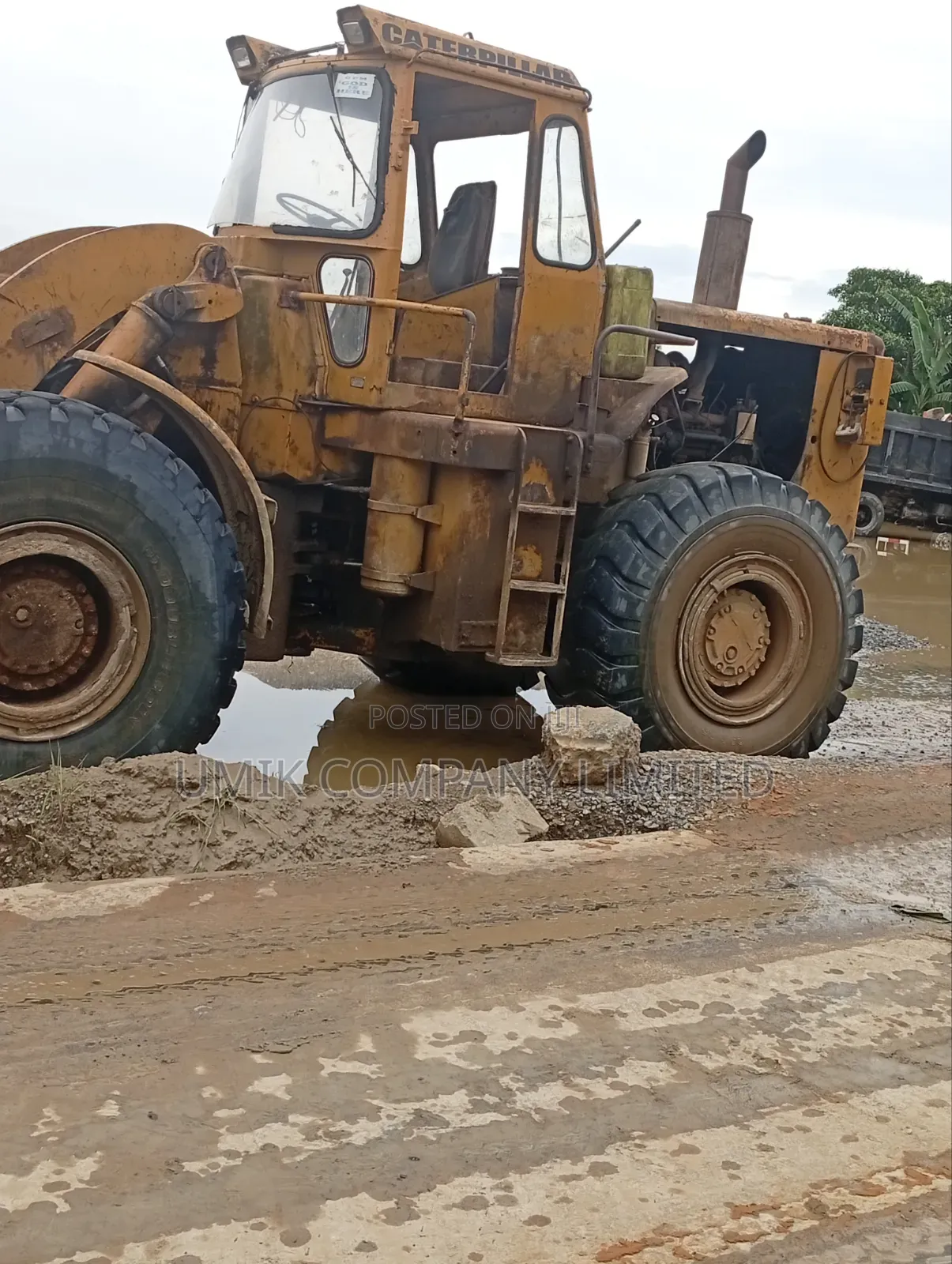 Chippings (Stones)