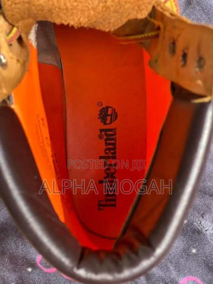 Timberland Original Shoe