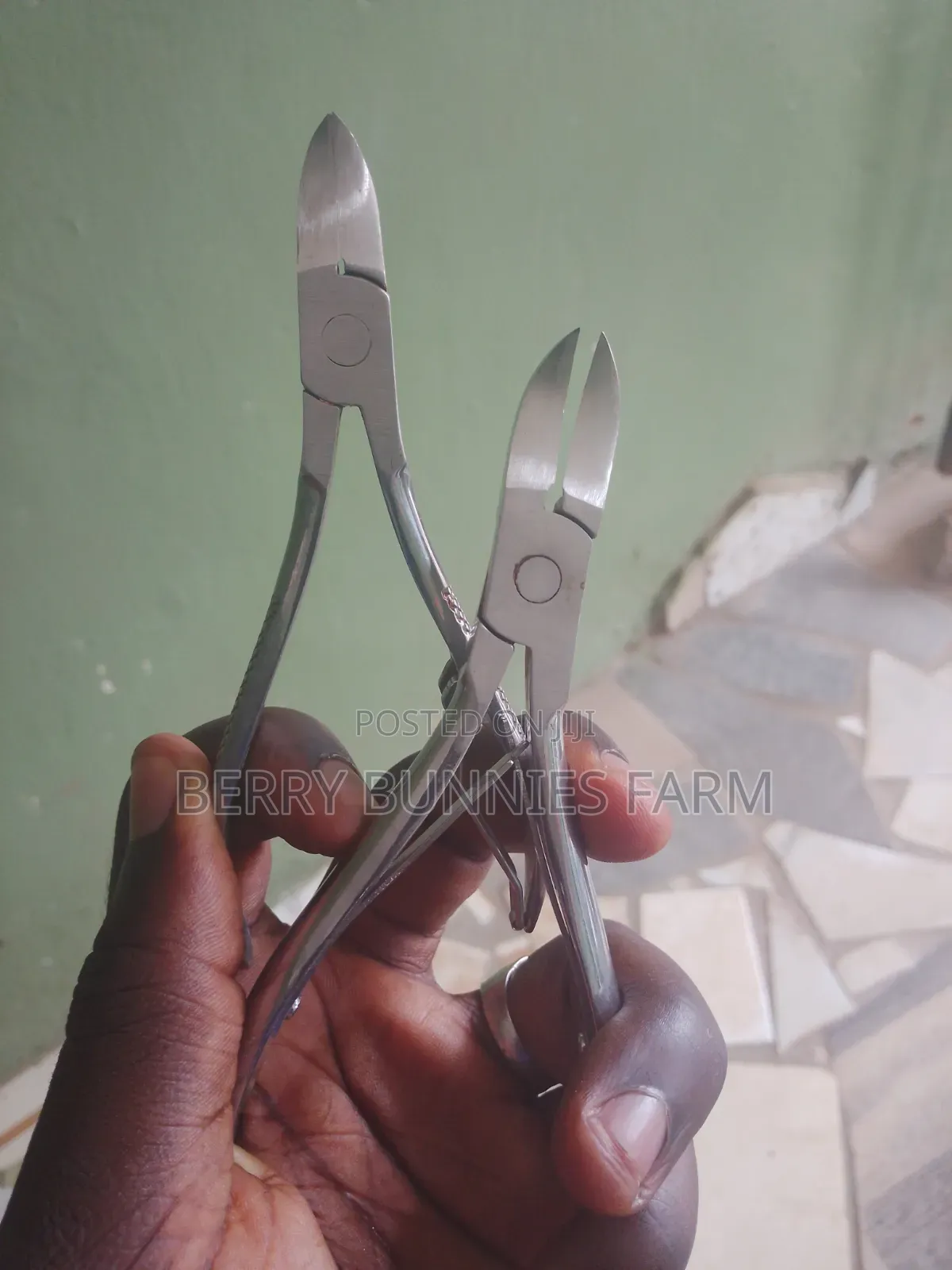Teeth Cutter