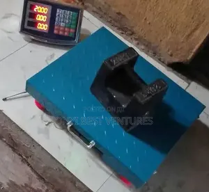 300kg Sofrank Wireless Digital Scale
