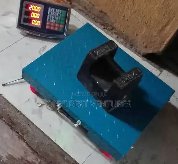 300kg Sofrank Wireless Digital Scale