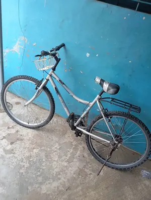 Bicycle Mobility