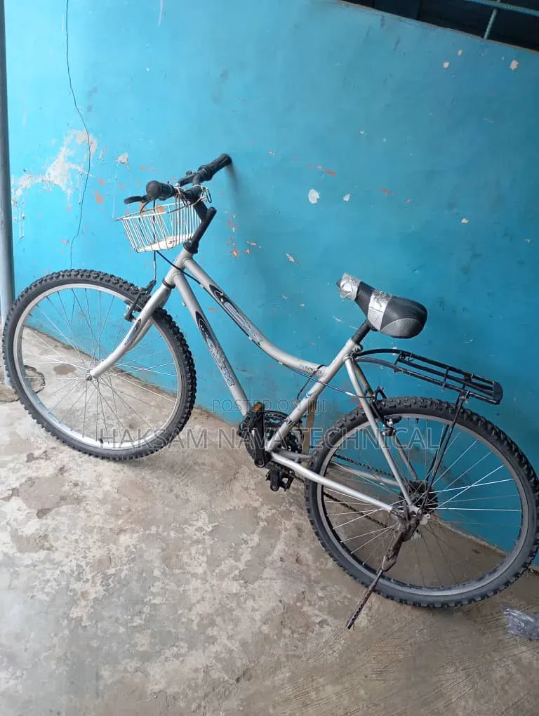 Bicycle Mobility
