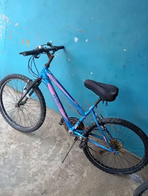 Bicycle Mobility