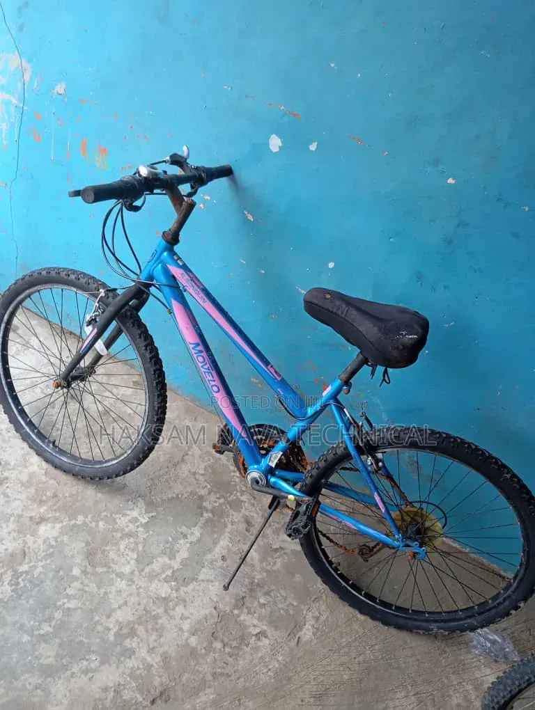 Bicycle Mobility