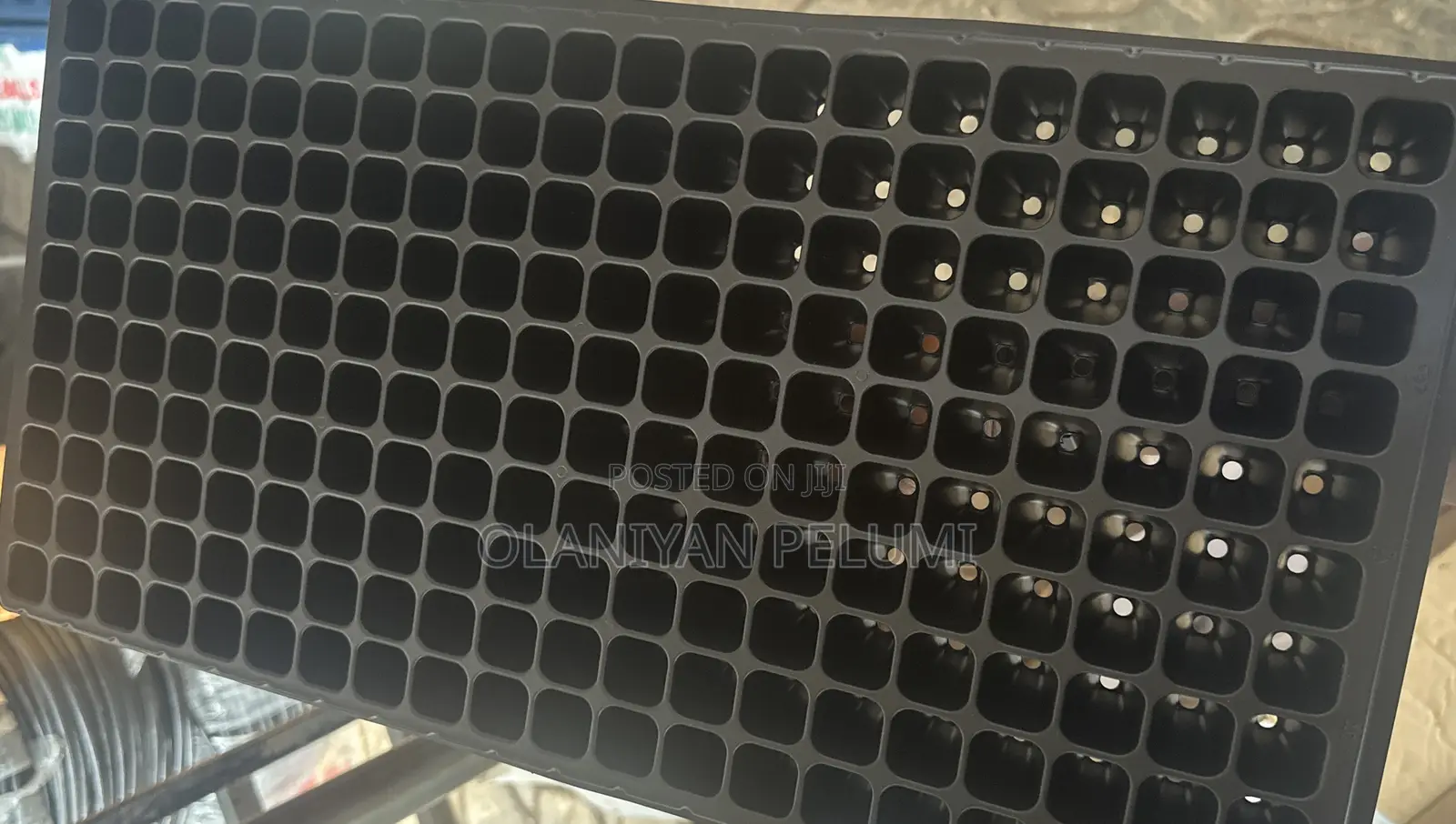 Seed Trays