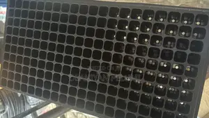 Seed Trays
